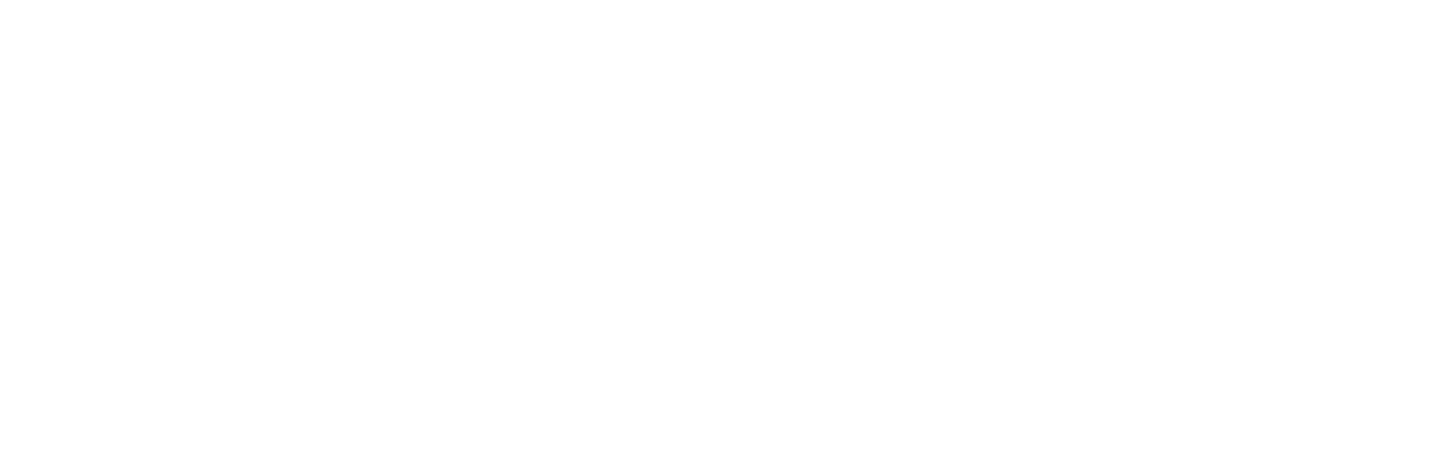 houston logo