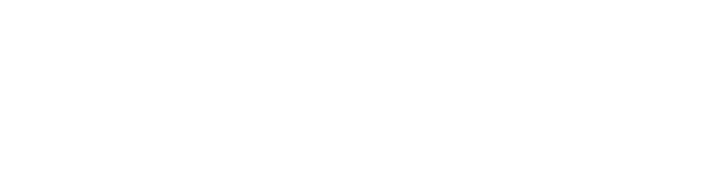 san antonio logo