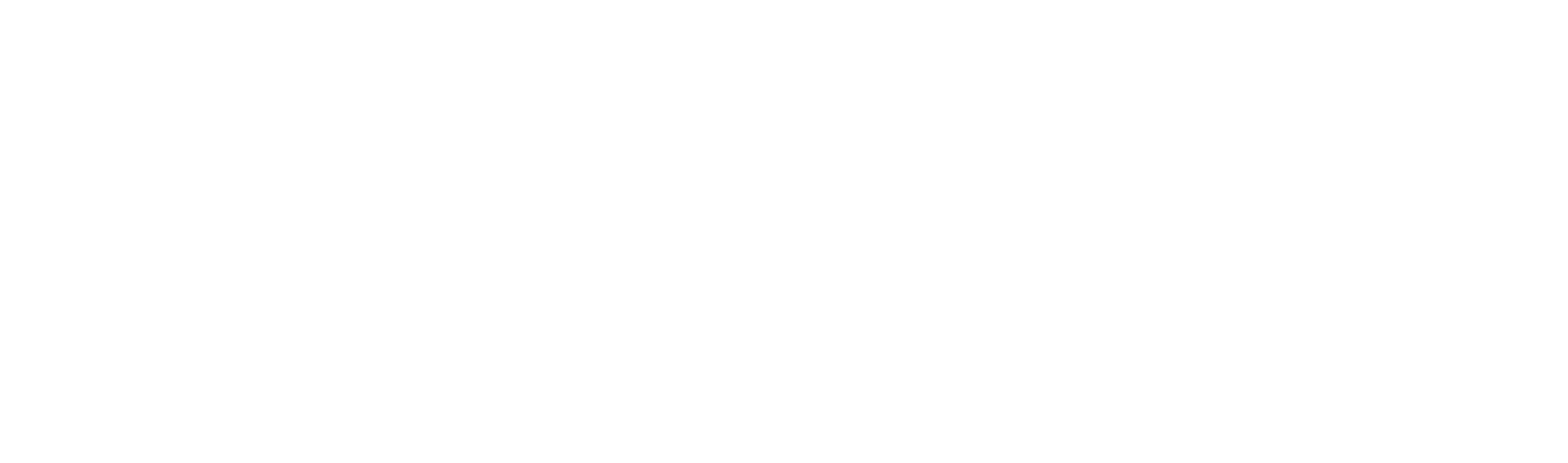 dallas logo